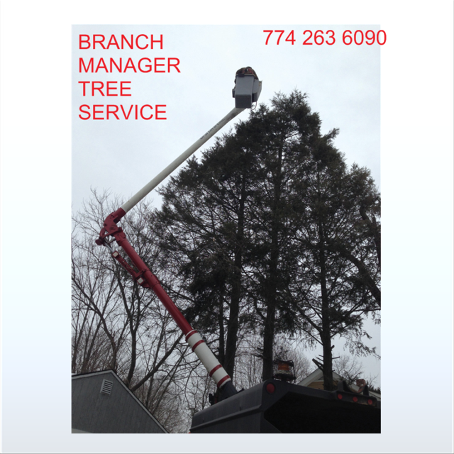 Branch Manager
