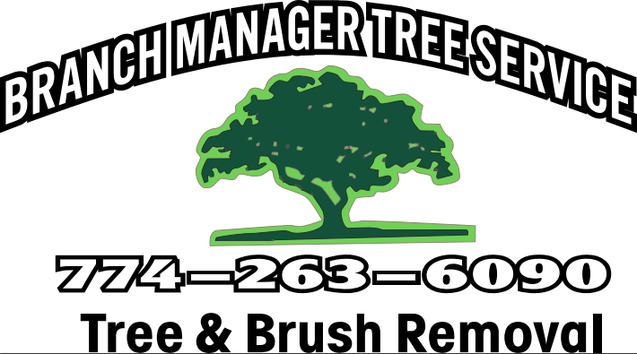 Branch Tree Service