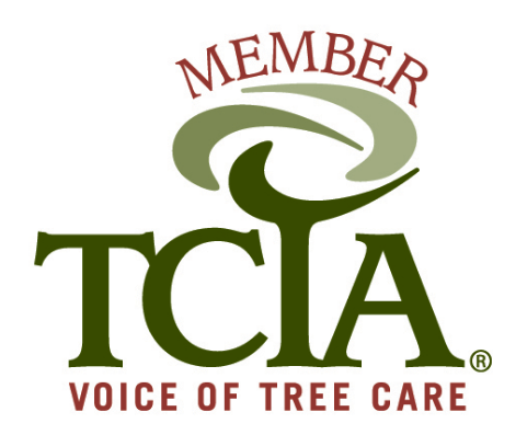 Certified Arborists